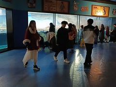 -海合安武汉极地海洋公园