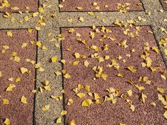 -苏州河梦清园环保主题公园