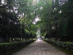 -四川大学(华西校区)