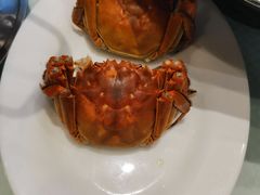 大闸蟹-双井轩(双井店)