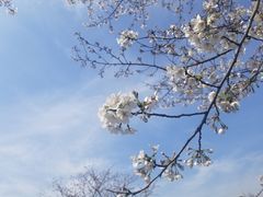 -上海辰山植物园