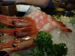 -春草居酒屋·晴子の店