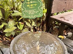-呀诺达热带雨林