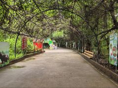 -广州长隆飞鸟乐园