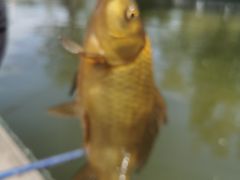 -酷鱼垂钓CLUB(朝阳区博大路店 )