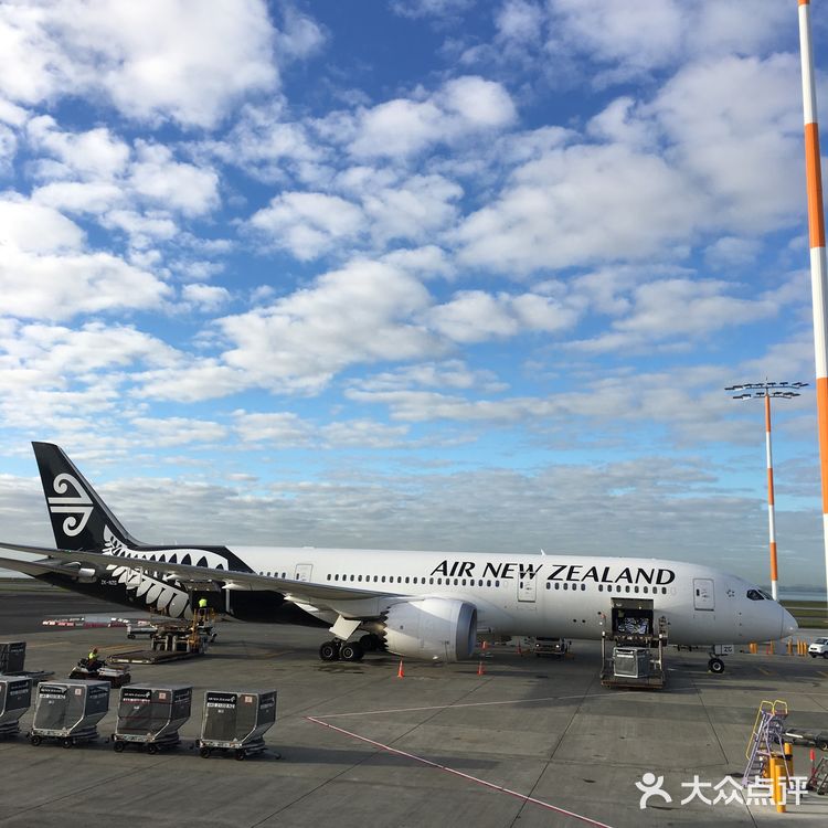 奥克兰国际机场，简介位于新西兰的奥克兰市芒格雷市郊