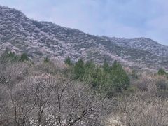 -北京凤凰岭