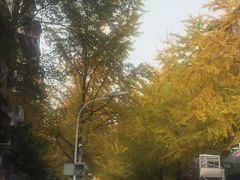 -四川大学(望江校区)