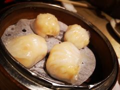 -金燕岛潮州酒楼