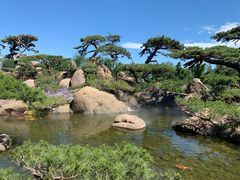 -罗红摄影艺术馆