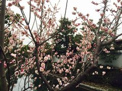 -蠡湖大桥公园