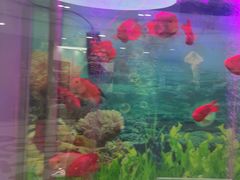 -雅悦齿科(顾村公园店)