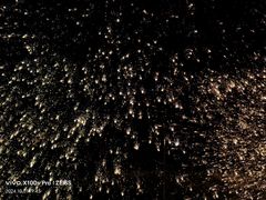 -光明农场大观园