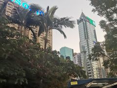 -Big Bus Tours 敞篷观光巴士