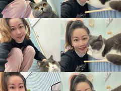 -1013 PET SHOP 宠物商店(近铁城市广场店)