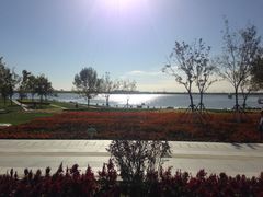 -武清南湖绿博园