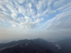 -大金鹰园