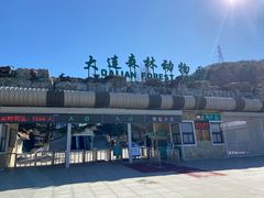 -大连森林动物园