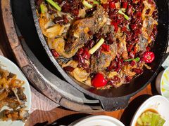 老板恋上鱼-老板恋上鱼(高新万达店)