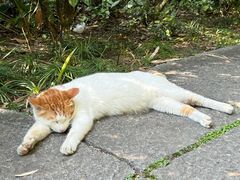 -广州兰圃