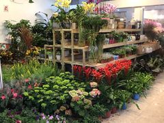 -双季花艺园艺市场(浦东店)