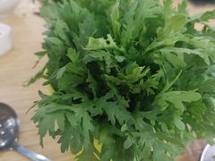 -杨老板·海鲜集市火锅·鲜切牛肉(中防万宝店)