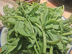 豌豆苗-阳阳老火锅(小南门店)