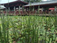 -洛阳古墓博物馆