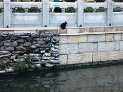 -荔湾湖公园