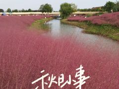 -江苏三台山国家森林公园