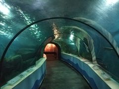 -苏州海洋馆