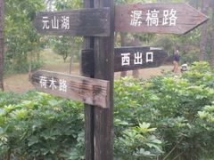 -金山植物公园