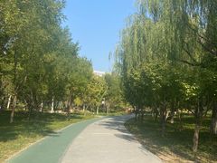 -回龙观体育文化公园