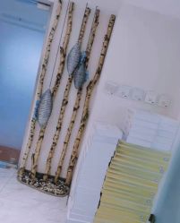 -健身堂科技美肌SPA