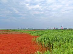 -红海滩国家风景廊道
