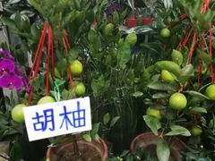 -无锡文化工艺品市场(槐古路店)