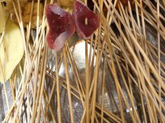 -镇江龙·火锅串串(武侯祠店)