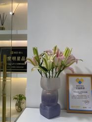 -Verywang半永久纹眉•仪器野生眉