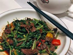 -广东道至正餐厅(区庄店)