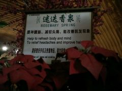 -河北霸州茗汤日月潭温泉