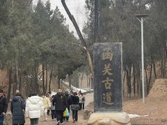 -函谷关历史文化旅游区