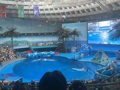 -海合安成都极地海洋公园