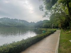 -南国桃园旅游度假区