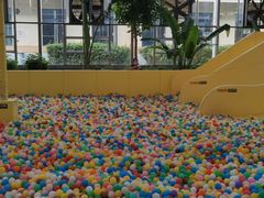 -南宫五洲植物乐园