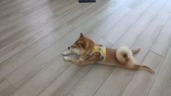 -HEYAN荷妍专业脱毛连锁机构