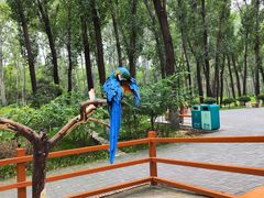 -北京野生动物园