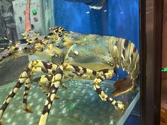-德米火锅(深圳湾1号旗舰店)