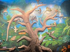 -辽宁古生物博物馆