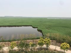-南大港湿地风景区