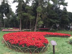 -保利石象湖景区